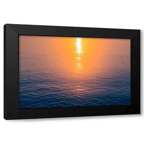 Morning Sun Black Modern Wood Framed Art Print by Malone, Will