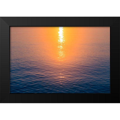 Morning Sun Black Modern Wood Framed Art Print by Malone, Will