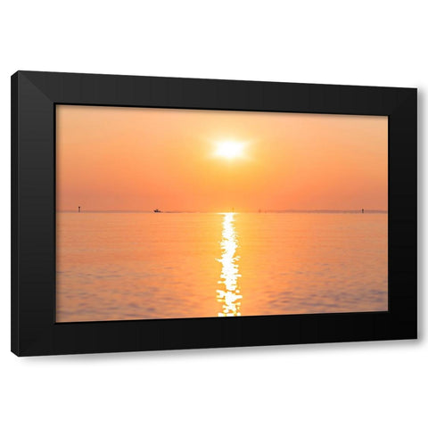 Morning Sun 2 Black Modern Wood Framed Art Print by Malone, Will