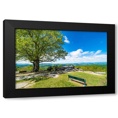Laurel Park Black Modern Wood Framed Art Print by Malone, Will