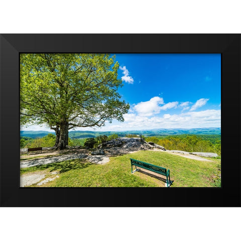 Laurel Park Black Modern Wood Framed Art Print by Malone, Will