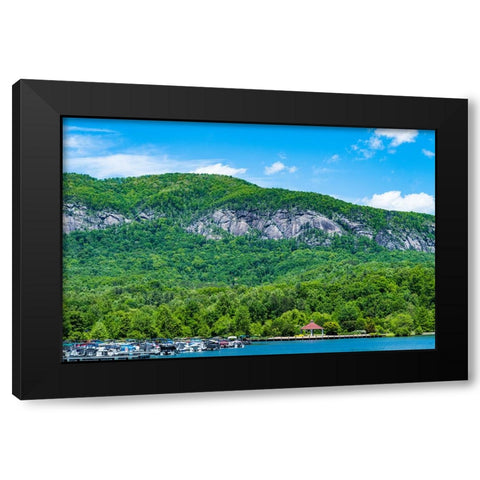 Backdrop Black Modern Wood Framed Art Print by Malone, Will