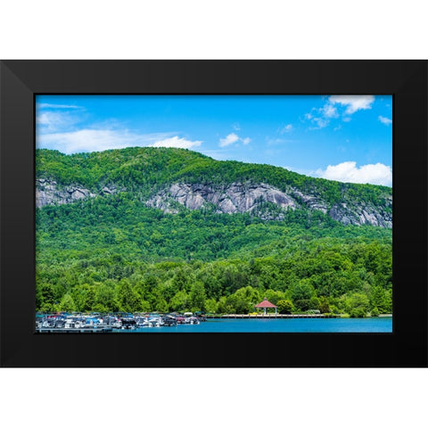 Backdrop Black Modern Wood Framed Art Print by Malone, Will