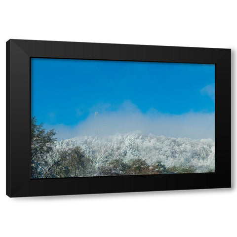 Snow Antenna Black Modern Wood Framed Art Print with Double Matting by Malone, Will