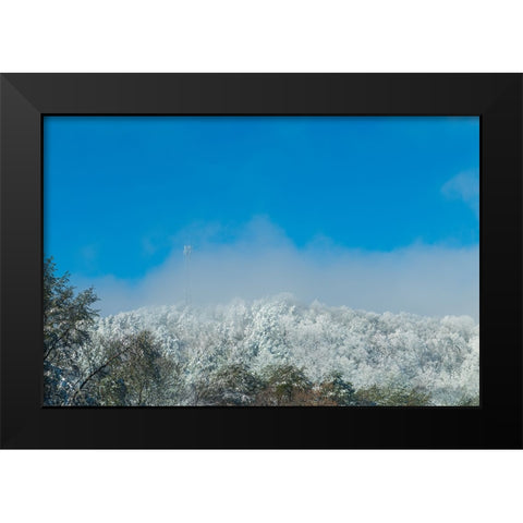 Snow Antenna Black Modern Wood Framed Art Print by Malone, Will