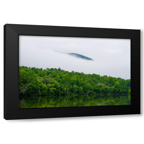 Hidden Black Modern Wood Framed Art Print by Malone, Will