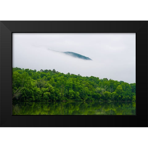 Hidden Black Modern Wood Framed Art Print by Malone, Will