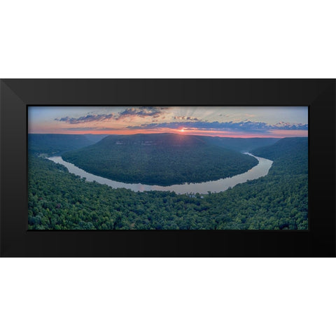 Racoon Sunrise Black Modern Wood Framed Art Print by Malone, Will