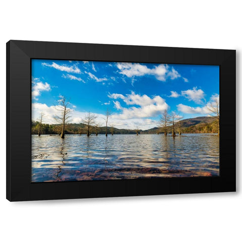 Midday Ocoee Black Modern Wood Framed Art Print by Malone, Will
