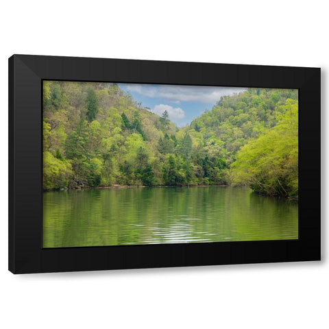 Ocoee Calm Black Modern Wood Framed Art Print with Double Matting by Malone, Will