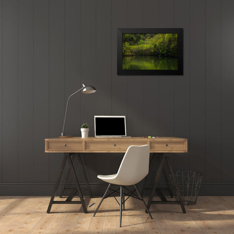 Ocoee Calm 2 Black Modern Wood Framed Art Print by Malone, Will