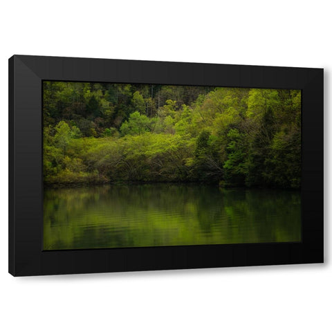 Ocoee Calm 2 Black Modern Wood Framed Art Print with Double Matting by Malone, Will