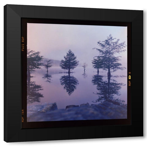Ocoee Fog Black Modern Wood Framed Art Print by Malone, Will