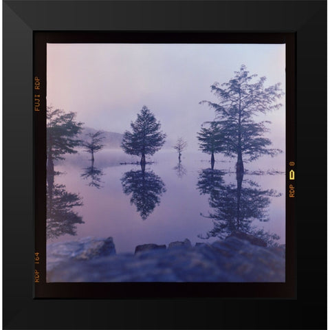 Ocoee Fog Black Modern Wood Framed Art Print by Malone, Will