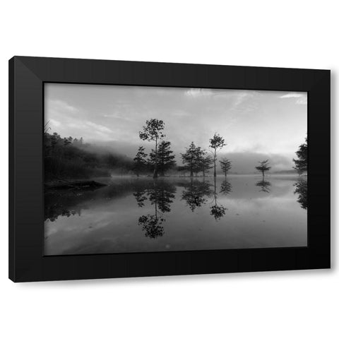 Ocoee Fog 4 Black Modern Wood Framed Art Print by Malone, Will