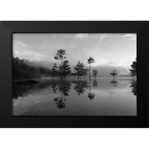 Ocoee Fog 4 Black Modern Wood Framed Art Print by Malone, Will