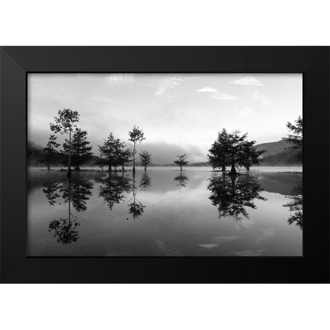 Ocoee Fog 5 Black Modern Wood Framed Art Print by Malone, Will