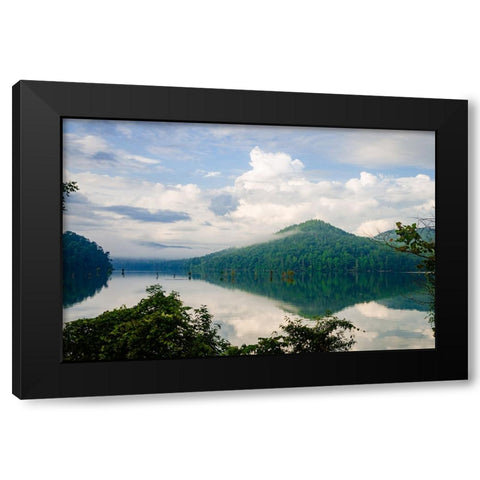 Ocoee Mist Black Modern Wood Framed Art Print with Double Matting by Malone, Will