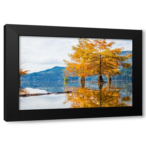 Orange Blast 2 Black Modern Wood Framed Art Print by Malone, Will