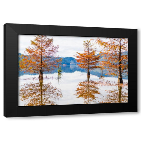 Orange Float 2 Black Modern Wood Framed Art Print with Double Matting by Malone, Will