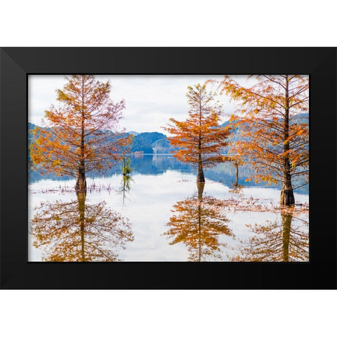 Orange Float 2 Black Modern Wood Framed Art Print by Malone, Will