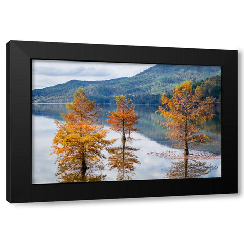 Orange Mountains Black Modern Wood Framed Art Print with Double Matting by Malone, Will