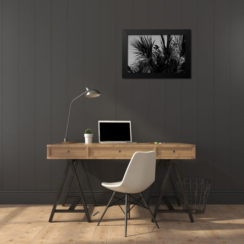 Bird of Palms Black Modern Wood Framed Art Print by Malone, Will