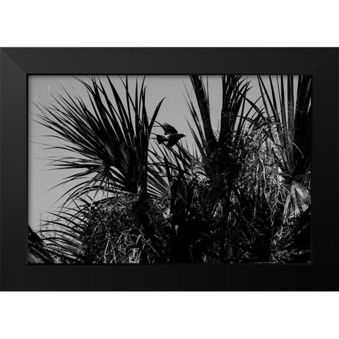 Bird of Palms Black Modern Wood Framed Art Print by Malone, Will