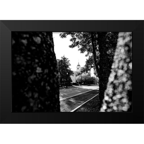 Through the Trees 2 Black Modern Wood Framed Art Print by Malone, Will