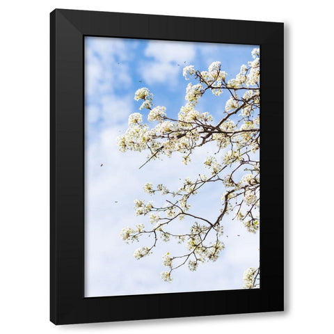 Welcome to Spring Black Modern Wood Framed Art Print by Malone, Will