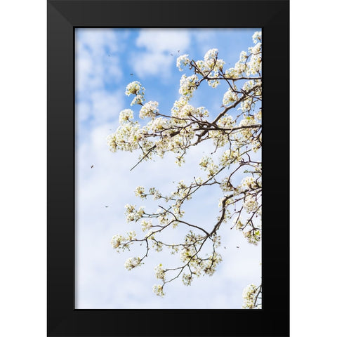 Welcome to Spring Black Modern Wood Framed Art Print by Malone, Will