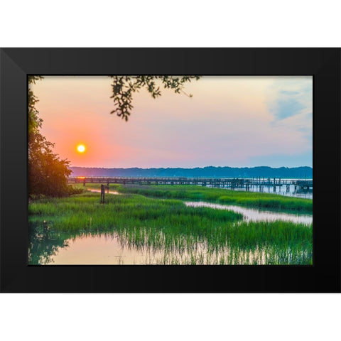 Morning Marsh 2 Black Modern Wood Framed Art Print by Malone, Will