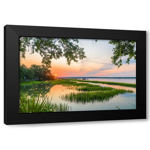 Morning Marsh 4 Black Modern Wood Framed Art Print with Double Matting by Malone, Will