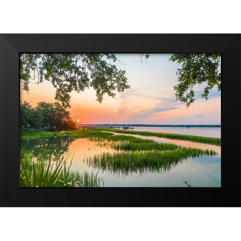 Morning Marsh 4 Black Modern Wood Framed Art Print by Malone, Will