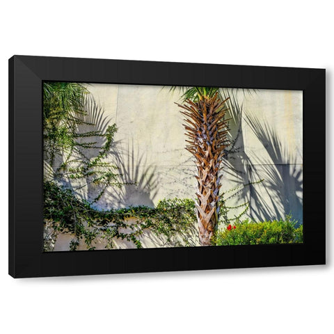 Shadows Black Modern Wood Framed Art Print with Double Matting by Malone, Will