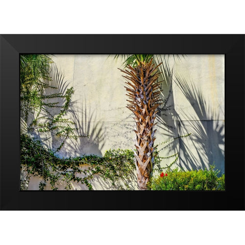 Shadows Black Modern Wood Framed Art Print by Malone, Will