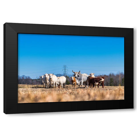 Drawing a Crowd Black Modern Wood Framed Art Print with Double Matting by Malone, Will