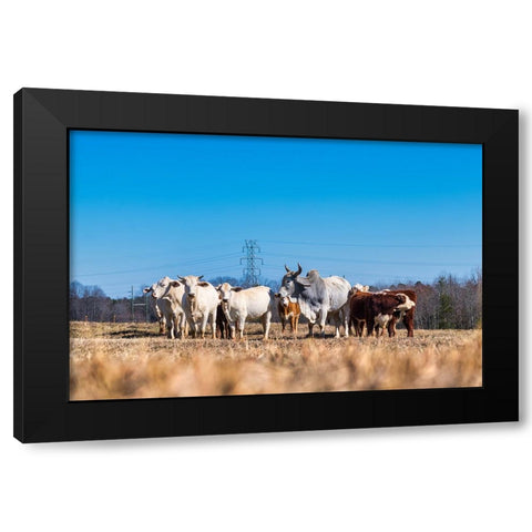 Drawing a Crowd 2 Black Modern Wood Framed Art Print with Double Matting by Malone, Will