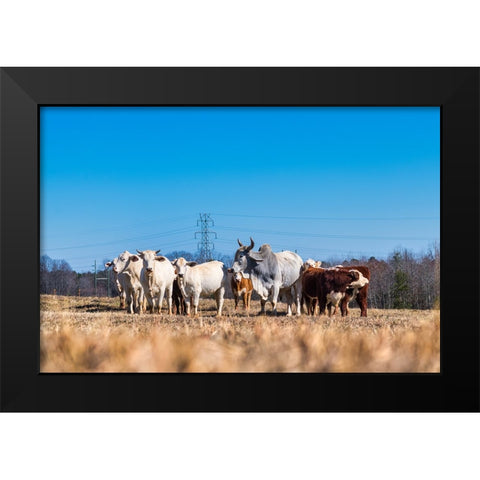 Drawing a Crowd 2 Black Modern Wood Framed Art Print by Malone, Will