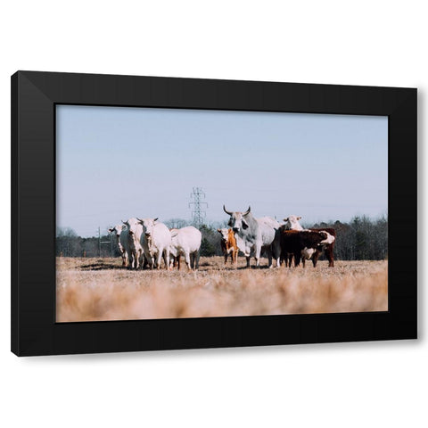 Drawing a Crowd Re-edit Black Modern Wood Framed Art Print with Double Matting by Malone, Will
