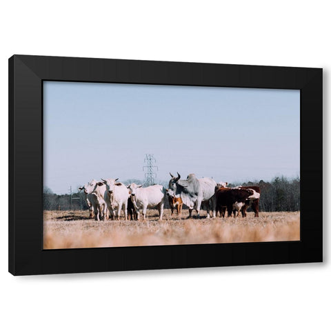 Drawing a Crowd 2 Re-edit Black Modern Wood Framed Art Print with Double Matting by Malone, Will