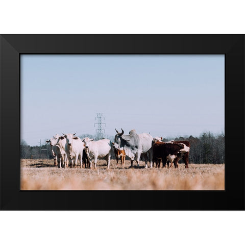 Drawing a Crowd 2 Re-edit Black Modern Wood Framed Art Print by Malone, Will