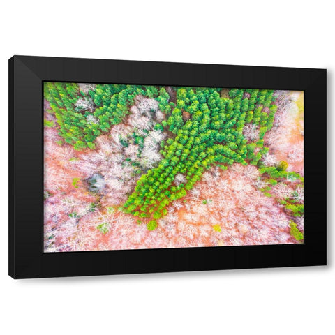 Green Splotch Black Modern Wood Framed Art Print by Malone, Will