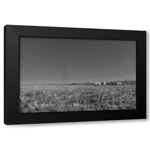 Here They Come Black Modern Wood Framed Art Print with Double Matting by Malone, Will