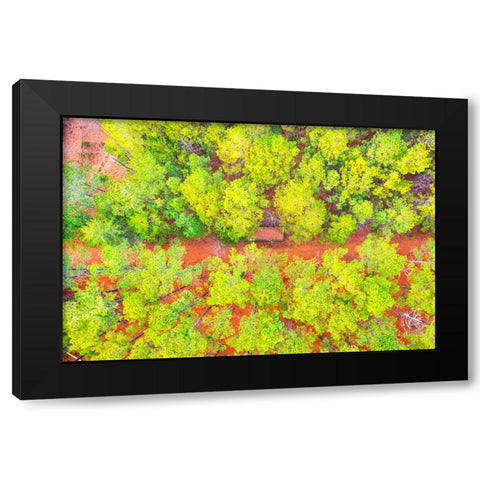 Hunting Shed Black Modern Wood Framed Art Print by Malone, Will