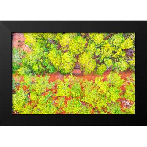 Hunting Shed Black Modern Wood Framed Art Print by Malone, Will