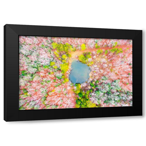 Pond in the Woods  Black Modern Wood Framed Art Print by Malone, Will