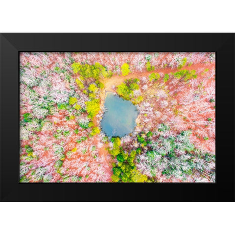 Pond in the Woods  Black Modern Wood Framed Art Print by Malone, Will