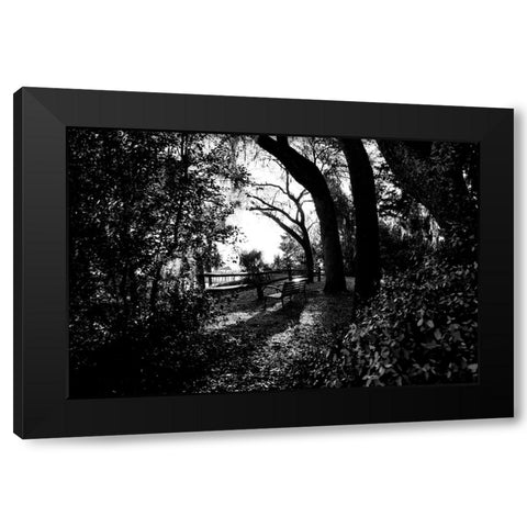 Bench Black Modern Wood Framed Art Print with Double Matting by Malone, Will