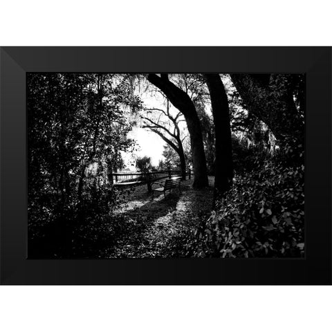 Bench Black Modern Wood Framed Art Print by Malone, Will